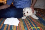 5/4/2005: Sitting with Jeff the first night.