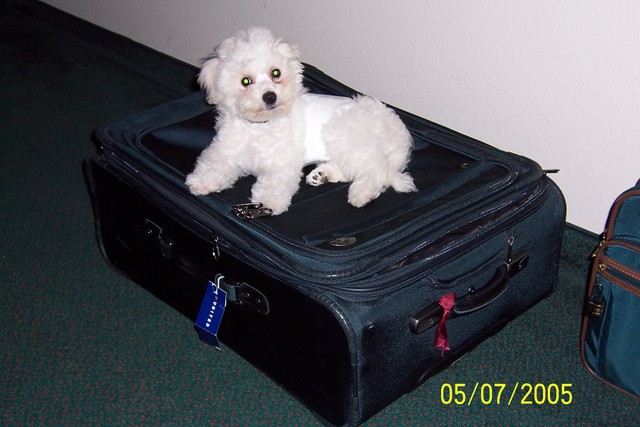 5/7/2005: Ready and anxious to go home with us!