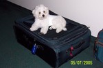 5/7/2005: Ready and anxious to go home with us!