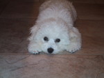 6/16/2005: Nose to Nose