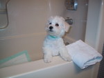 5/4/2005: QBit the night he came to us